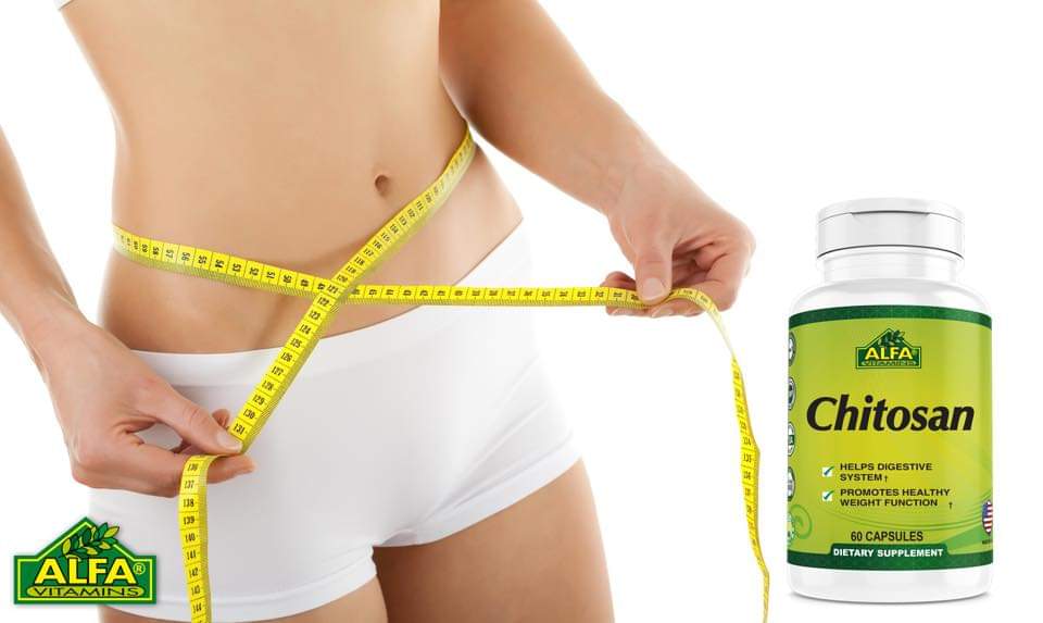 CHITOSAN AlFA 600MG 60 CÁPSULAS