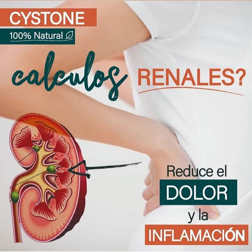 CYSTONE HIMALAYA 100 TABLETAS