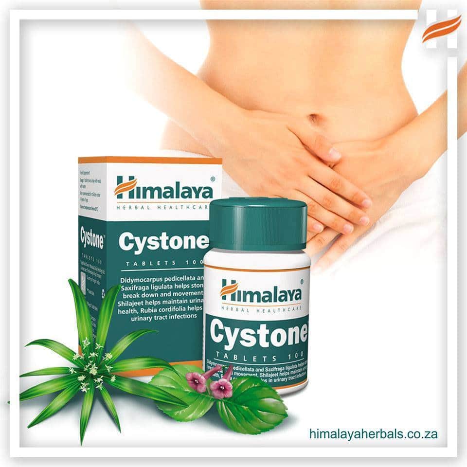 CYSTONE HIMALAYA 100 TABLETAS