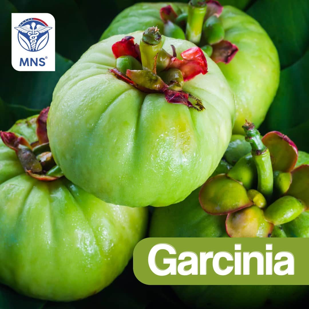 GARCINIA MILLENIUM 1000MG 100 SOFTGELS