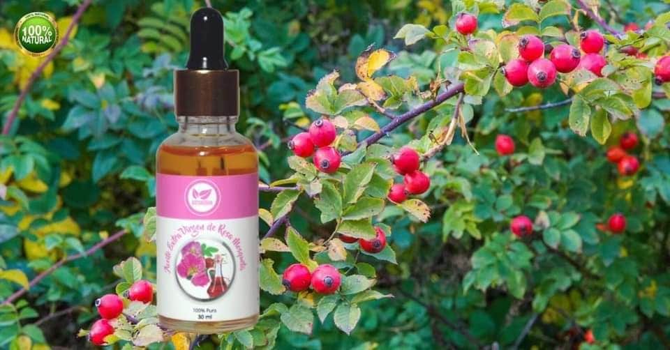 ACEITE ROSA MOSQUETA 506 30ML