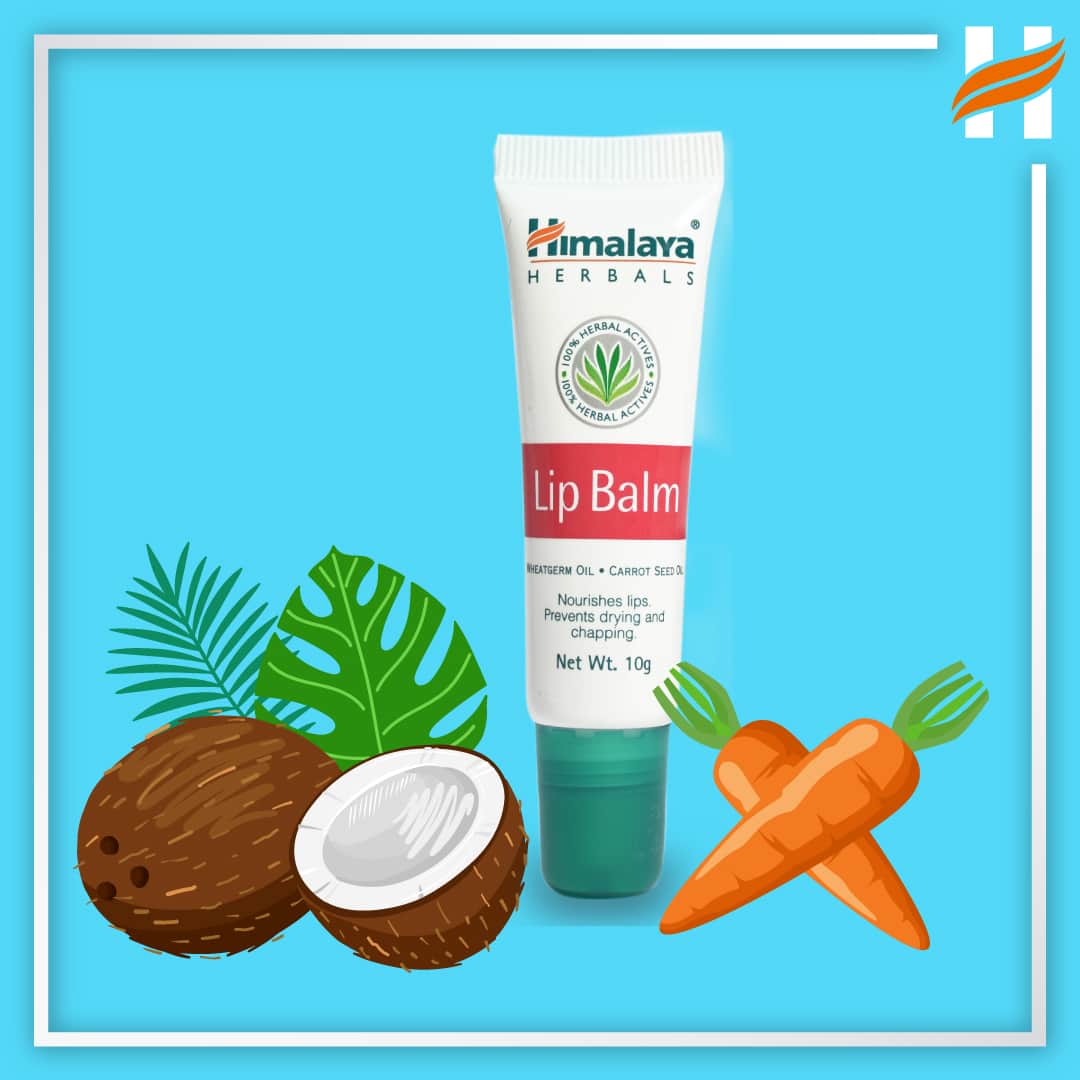BALSAMO LABIAL HIMALAYA 10G