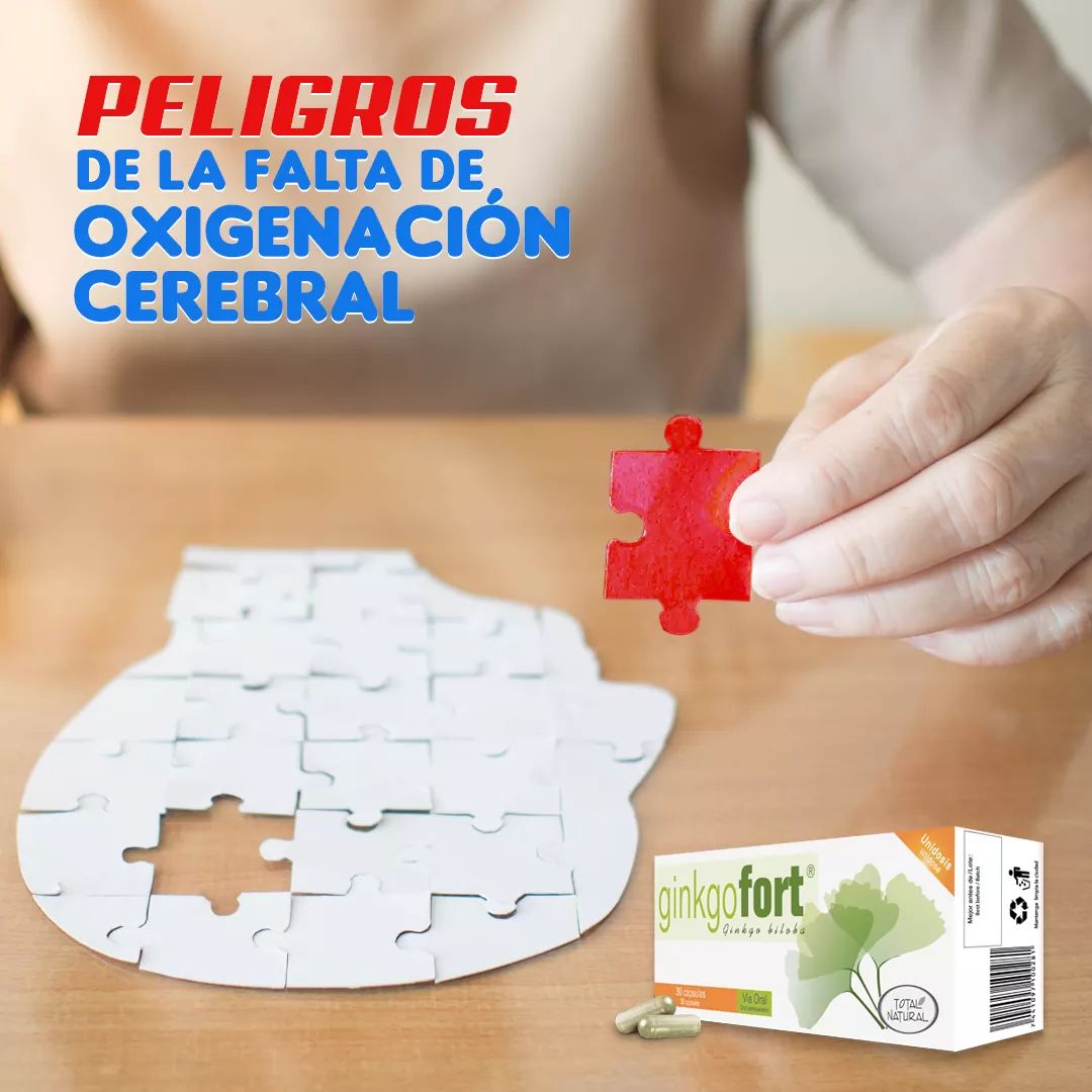 GINKGO FORT TOTAL NATURAL 30 CÁPSULAS