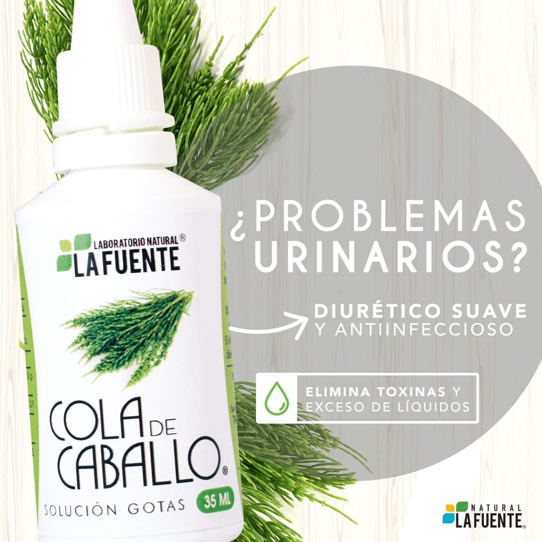 GOTAS COLA DE CABALLOLA FUENTE 35ML