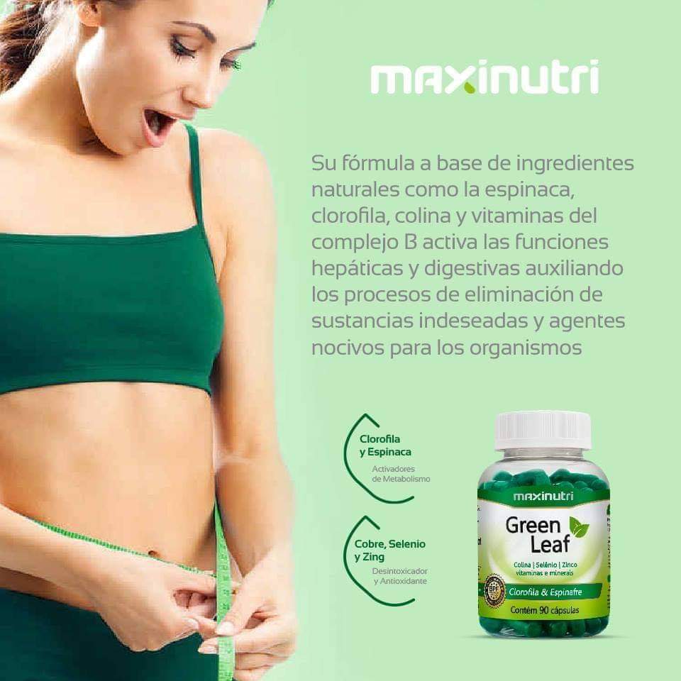 GREEN LEAF MAXINUTRI 90 CÁPSULAS