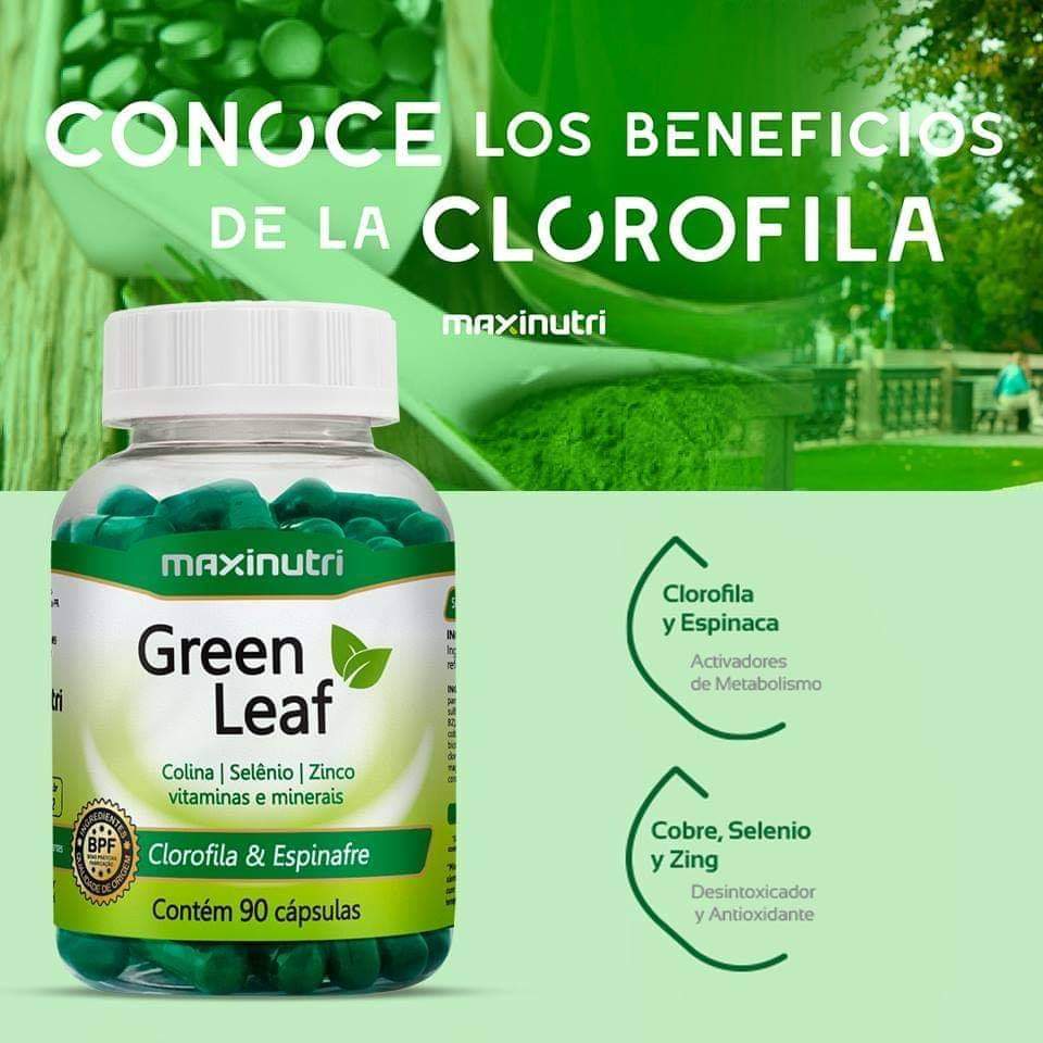 GREEN LEAF MAXINUTRI 90 CÁPSULAS