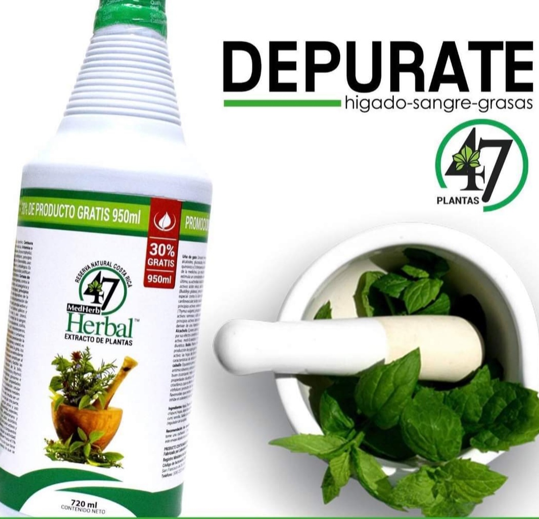 HERBAL 47 PLANTAS 950ML