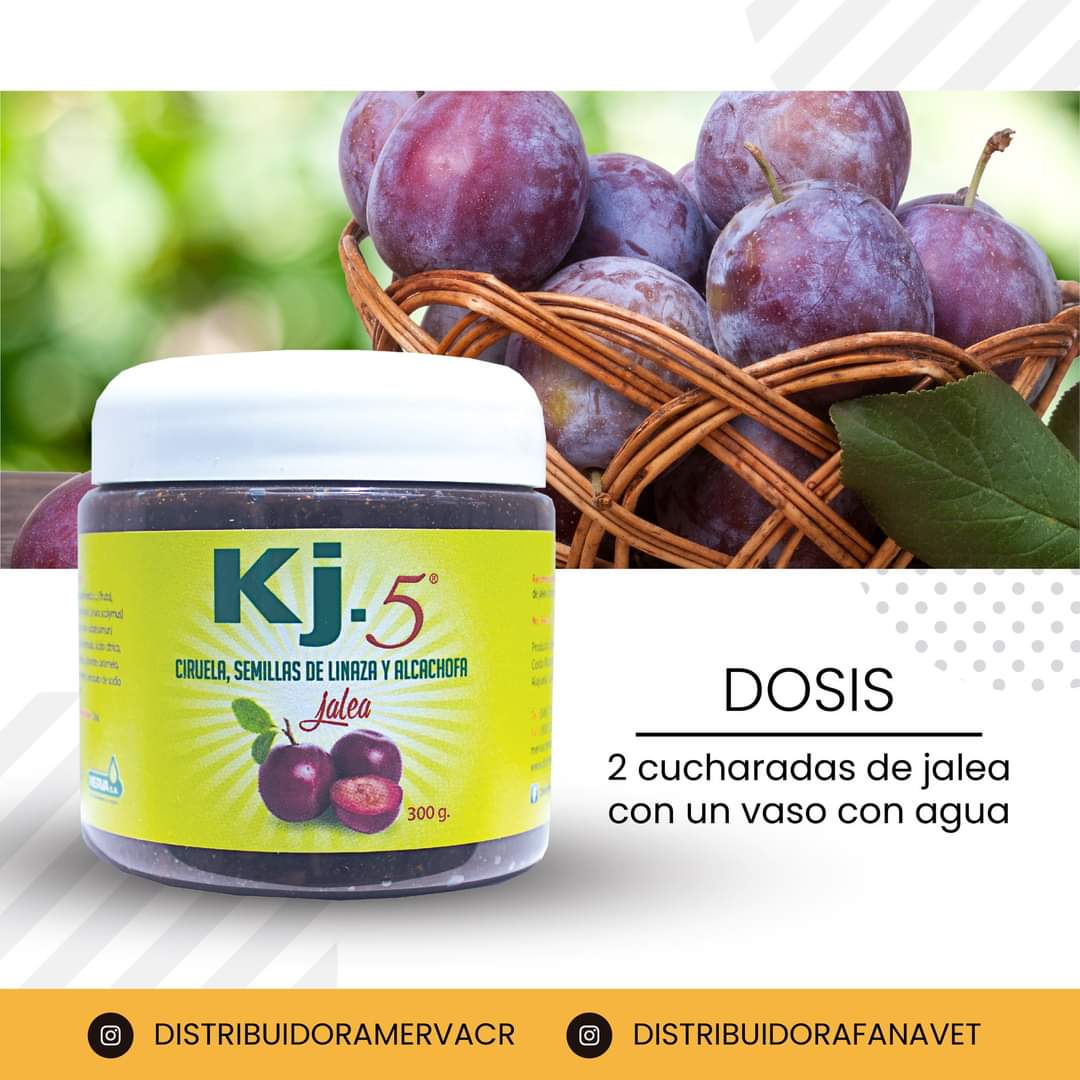 JALEA KJ-5 MERVA 300G