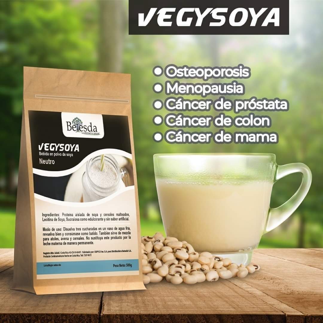 VEGYSOYA BETESDA SABOR NATURAL 500G