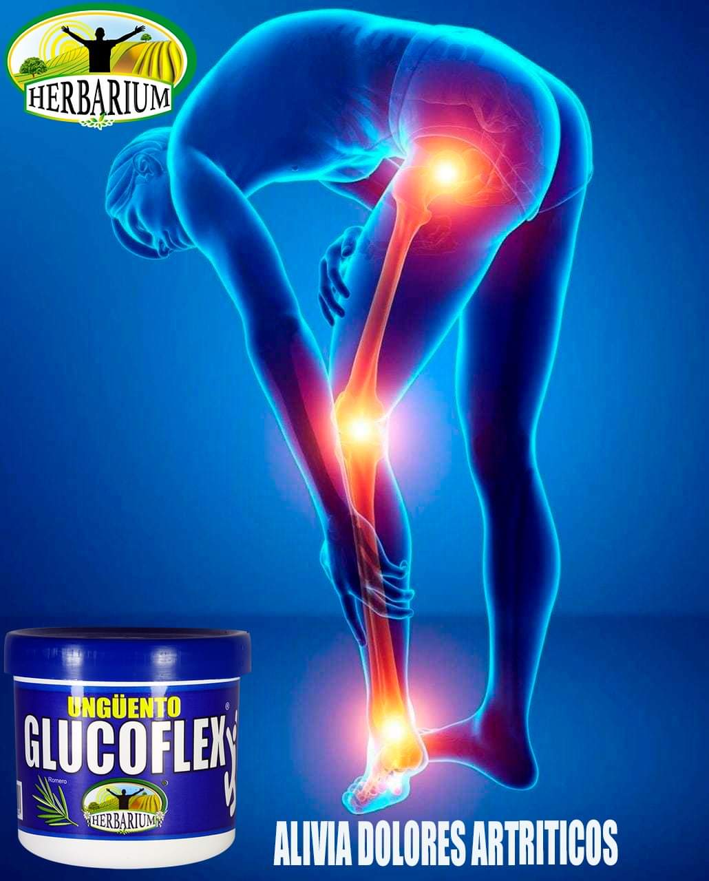UNGÜENTO GLUCOFLEX HERBARIUM 260G