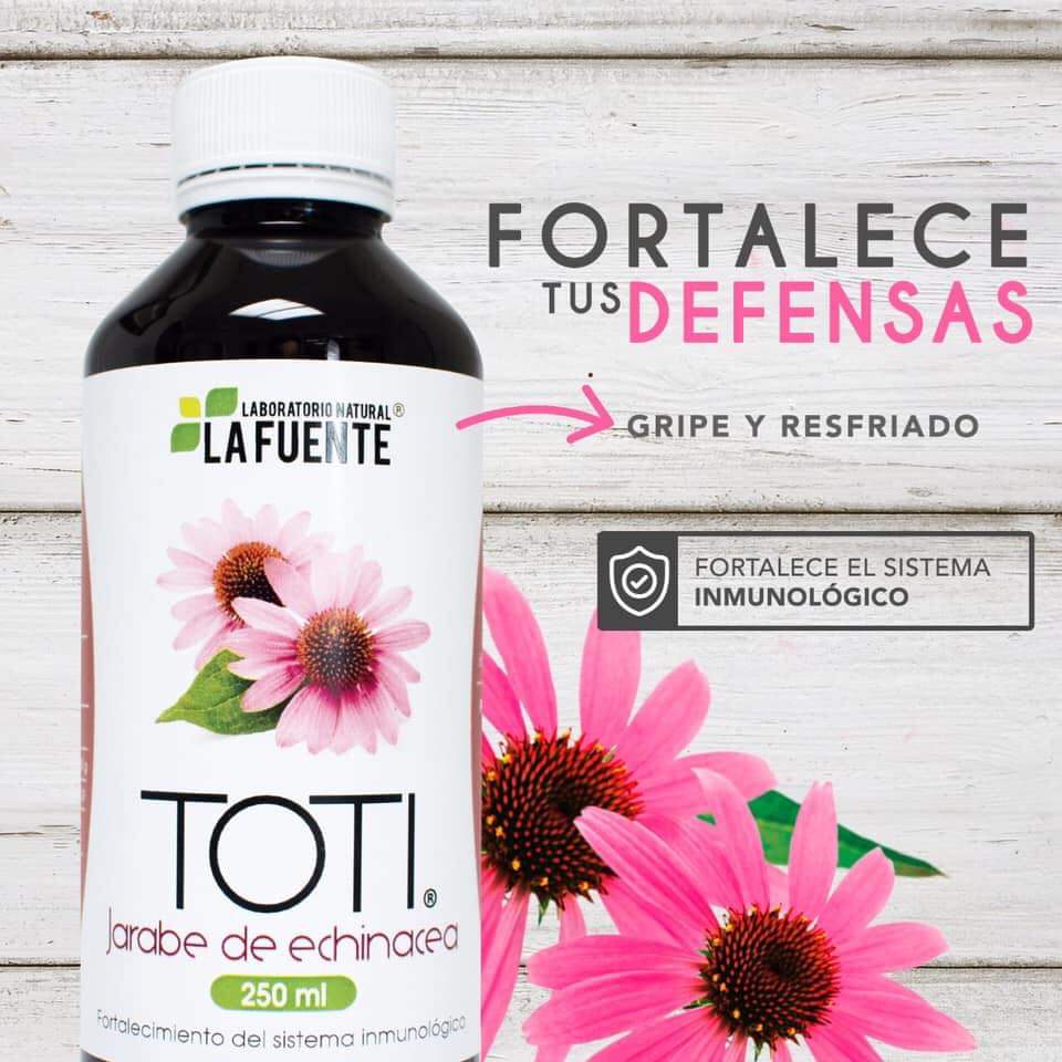 TOTI JARABE DE ECHINACEA LA FUENTE 250ML