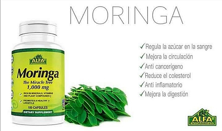 MORINGA ALFA 100 CÁPSULAS