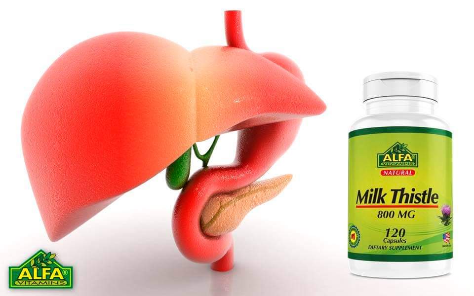 MILK THISTLE ALFA 120 CÁPSULAS