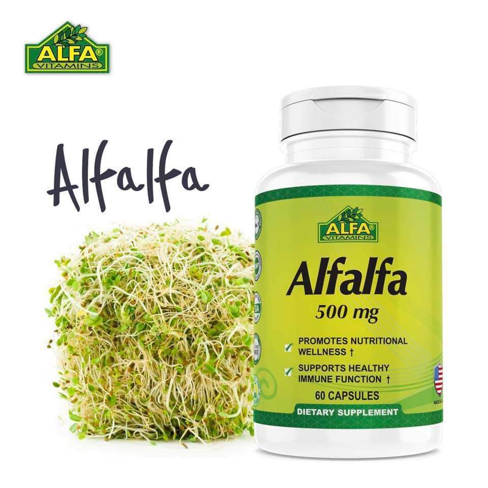 ALFALFA ALFA 500MG 60 CÁPSULAS