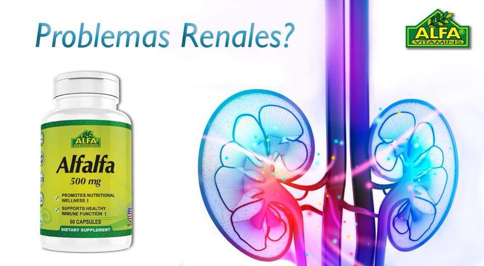 ALFALFA ALFA 500MG 60 CÁPSULAS