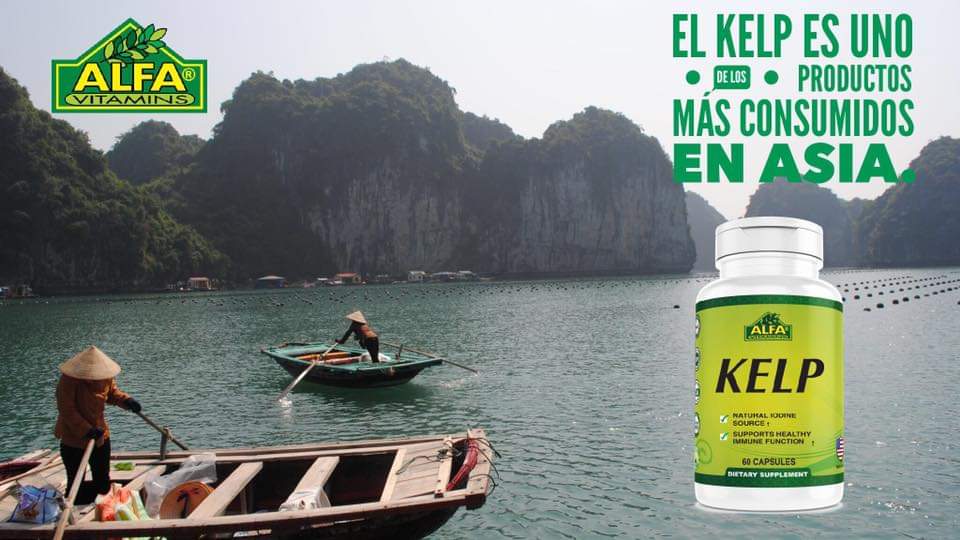 KELP ALFA 600MG 60 CÁPSULAS