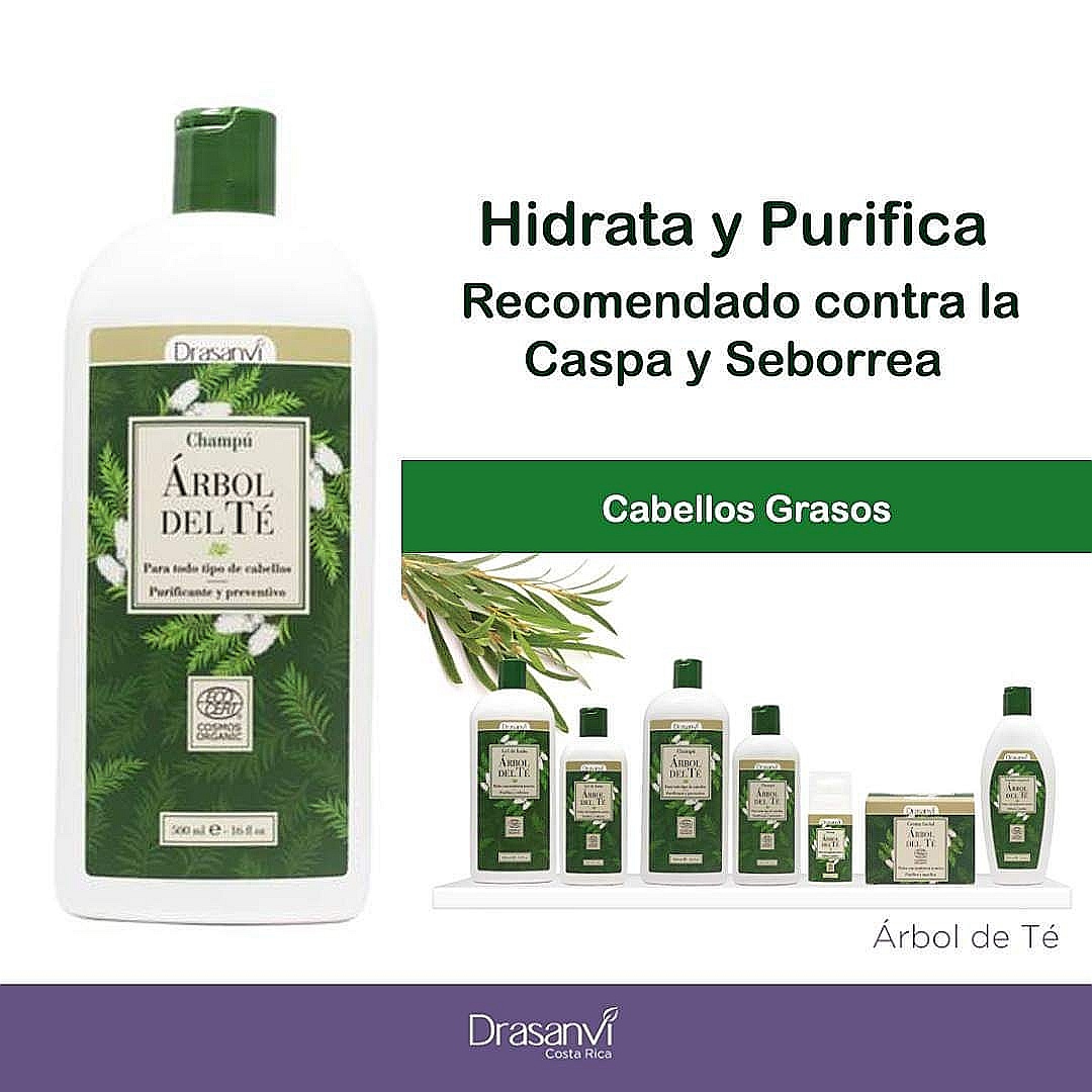 CHAMPÚ ÁRBOL DE TÉ DRASANVI 250ML