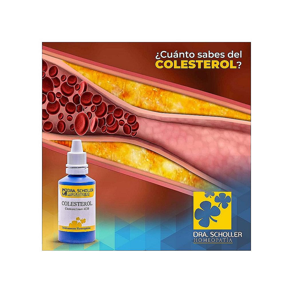 COLESTEROL HOMEOPATÍA DRA. SCHOLLER 30ML