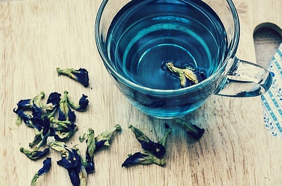TÉ OOLONG 100 SOBRES