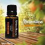 ACEITE ESENCIAL CLEMENTINA BIOACTIVE.ME 15ML