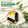 ACEITE ESENCIAL DE EUCALIPTO BIOACTIVE.ME 15ML