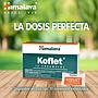 CONFITES KOFLET HIMALAYA 10 UNIDADES