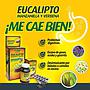 EUCALIPTO BLISTER 10 UNIDADES
