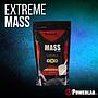 EXTREME MASS