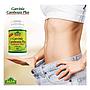 GARCINIA CAMBOGIA PLUS ALFA 100 CÁPSULAS