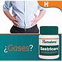 GASTRICARE HIMALAYA 100 TABLETAS