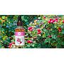 ACEITE ROSA MOSQUETA 506 30ML