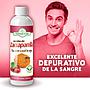 JARABE DE ZARZAPARRILLA NATURAL LIFE 250ML