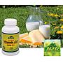 VITAMINA D3 ALFA 100 CÁPSULAS