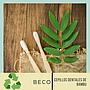 CEPILLO PARA DIENTES DE BAMBU BECO