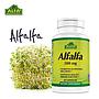 ALFALFA ALFA 500MG 60 CÁPSULAS