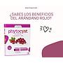 PHYTOCYST DRASANVI 30 COMPRIMIDOS