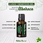 ACEITE ESENCIAL ALBAHACA BIOACTIVE.ME 15ML