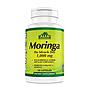 MORINGA ALFA 100 CÁPSULAS