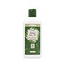 CHAMPÚ ÁRBOL DE TÉ DRASANVI 250ML