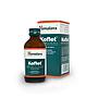 JARABE KOFLET HIMALAYA 100ML