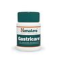 GASTRICARE HIMALAYA 100 TABLETAS