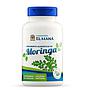 MORINGA MANA 100 CÁPSULAS