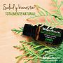 ACEITE ESENCIAL DE CIPRES BIOACTIVE.ME 15ML